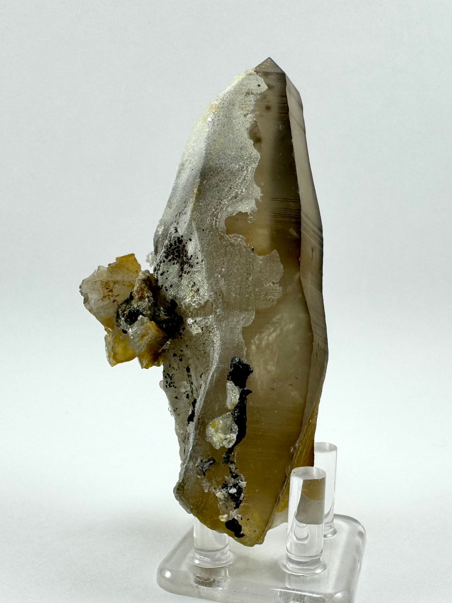 View of a side of the smoky quartz that is half coated in a filmy hyalite overgrowth. The other half shows good smoky quartz color with a few black spots near the tip and flashy feathers near the base. From this angle the cluster of minerals attached to the smoky quartz protrudes.