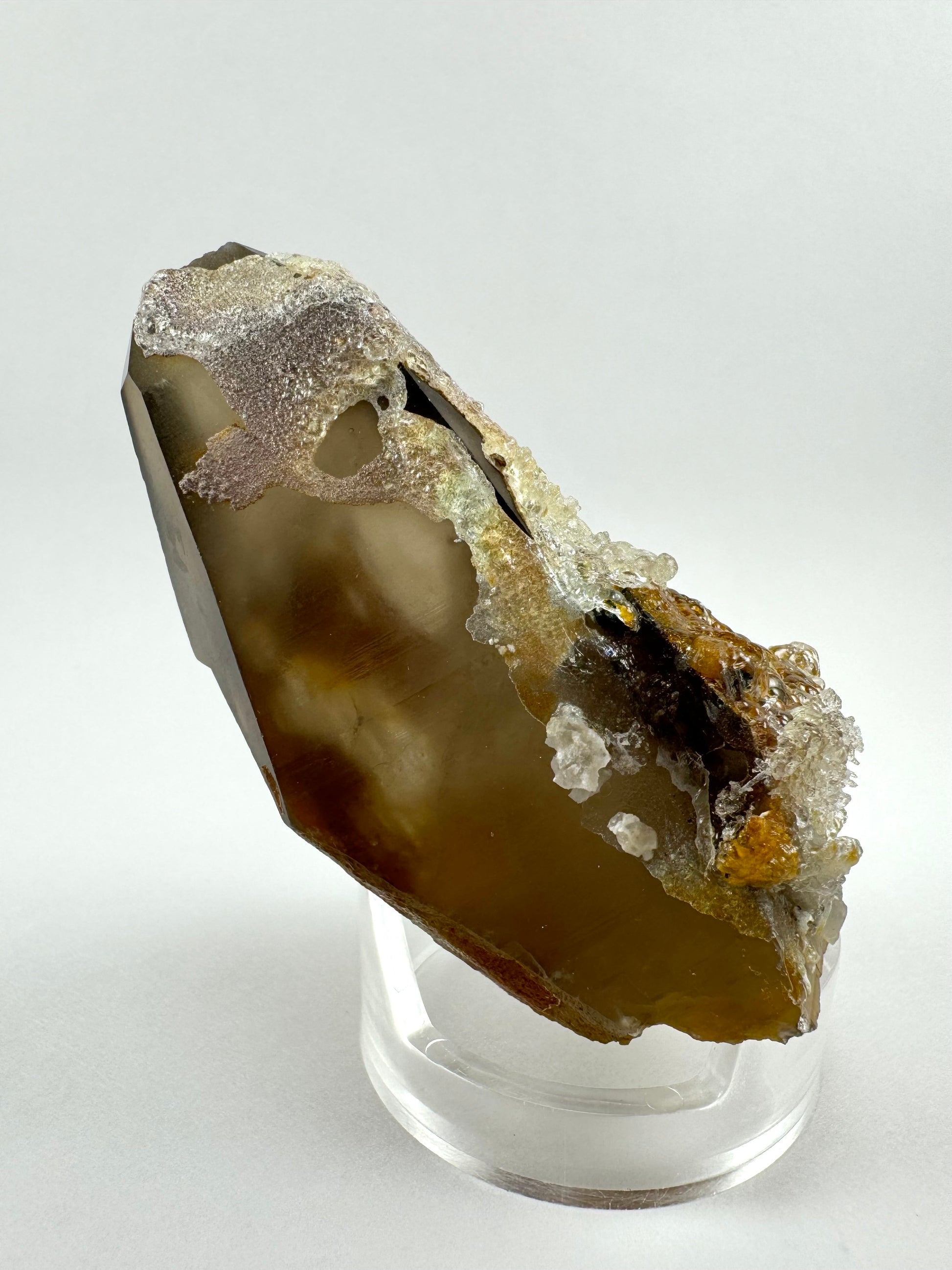 A side view of the point showing the coloration appears brown spotted with light brown due to the hyalite coating on the opposite side. Both sides have round cheese-holes in the hyalite.