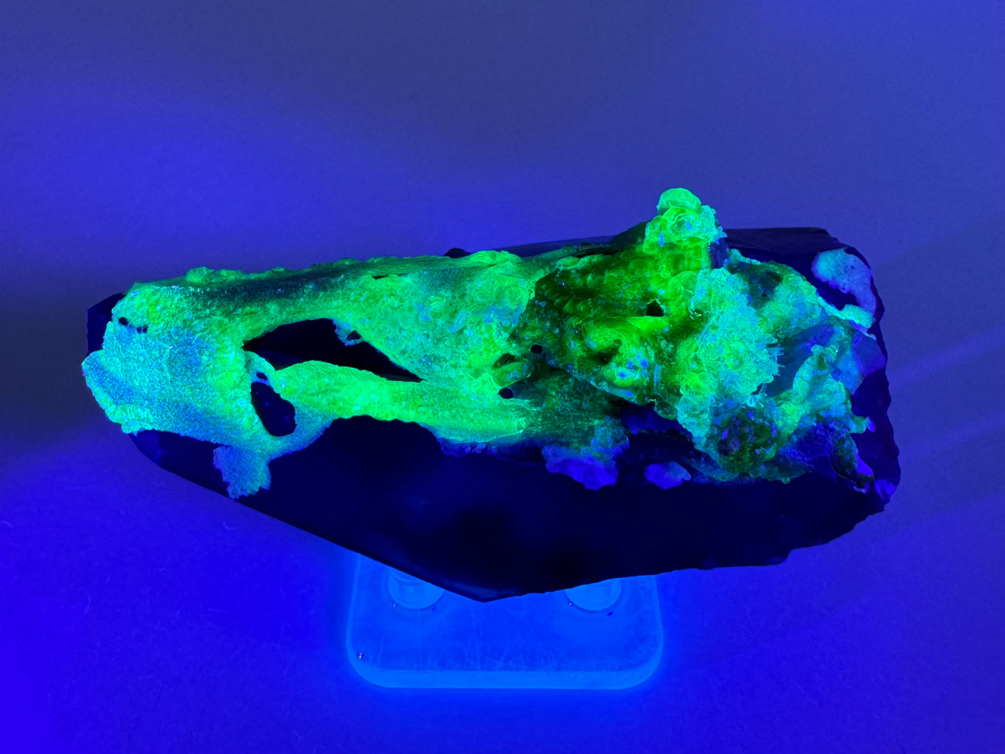 The third of three lighting images: the point in the same position as the previous image, in the dark and illuminated with blue-tinted UV light. The hyalite fluoresces a strong yellowish-green with light blue in areas.