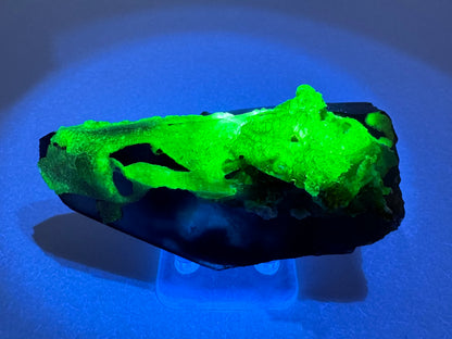 The second of three lighting images: the point in the same position as the previous image, in the dark and illuminated with blue-tinted UV light. The hyalite fluoresces a strong yellowish-green.