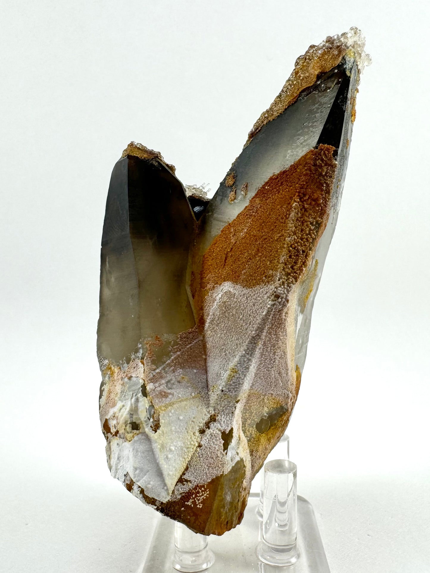 Side-view of the pair of points with part coated in a fine layer of mineral growth in an opaque rust-brown and white, with fine grainy texture.