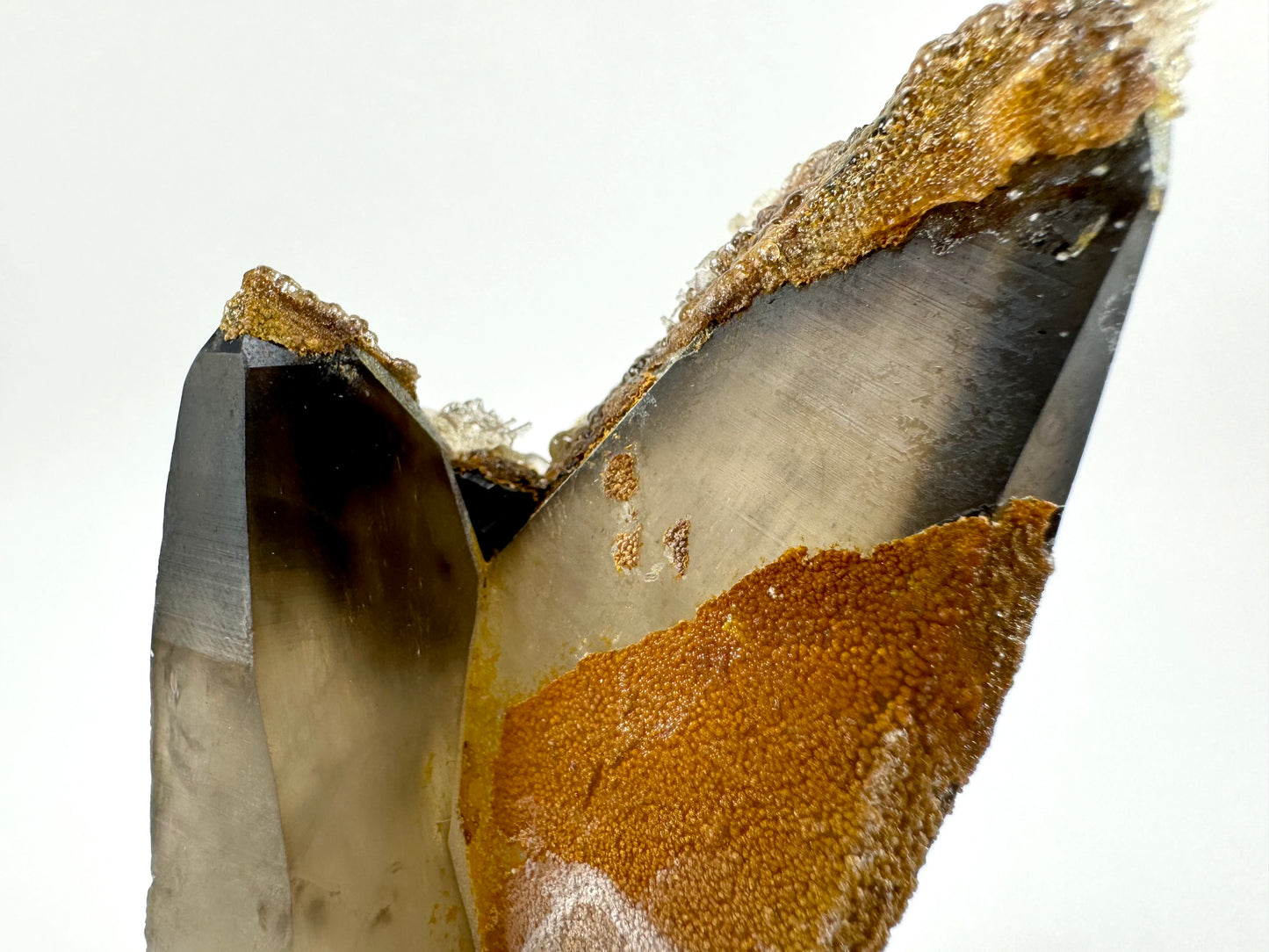 Detail of the smoky quartz, showing lighter color where the hyalite crust does not obscure light. The minerals coating the quartz are beady.