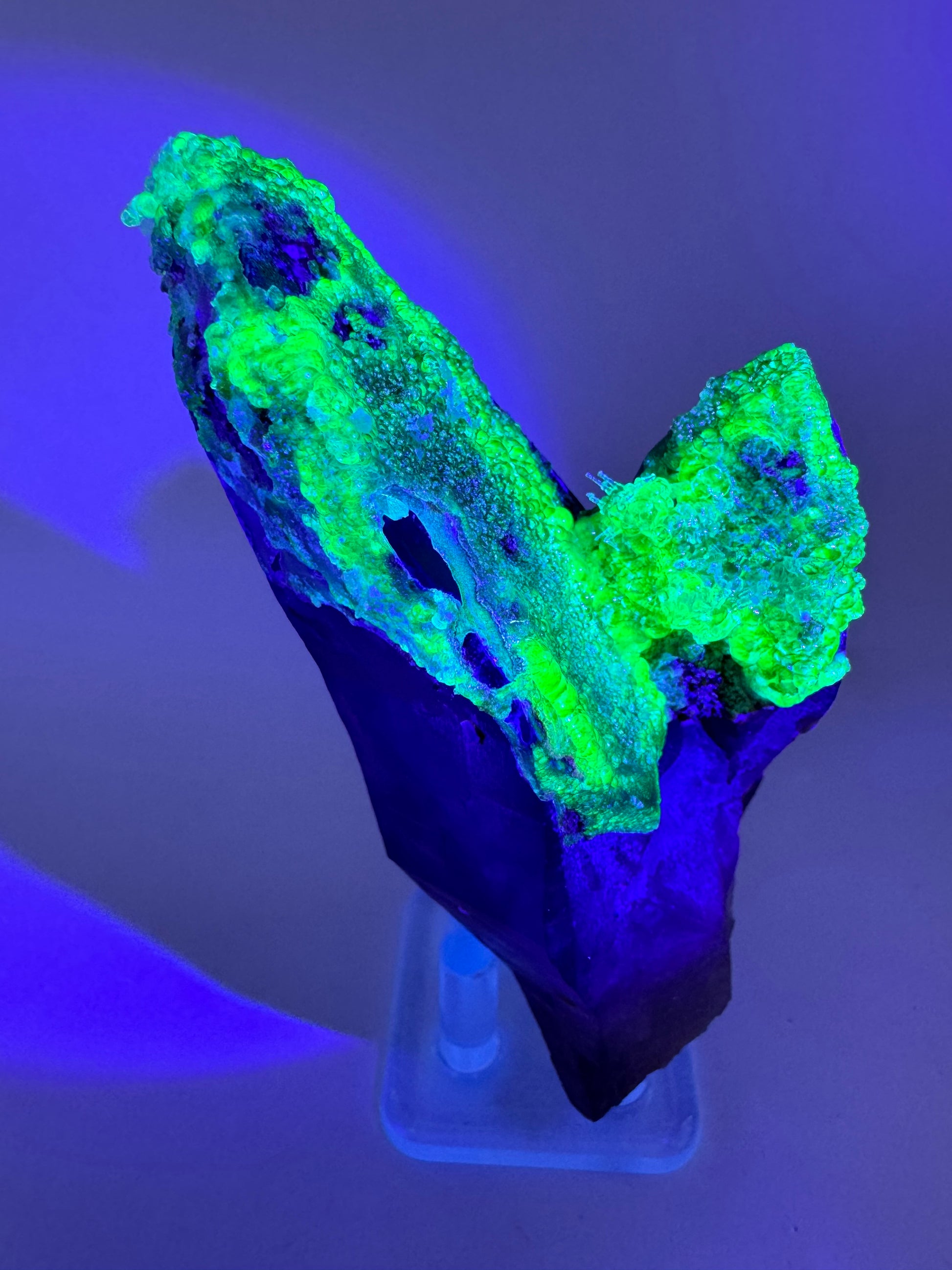 The second of three lighting images: the piece in the same position as the previous image, in low lighting illuminated with blue-tinted UV light. The hyalite fluoresces strong yellowish-green with a slight icy-blue overtone stronger in the thinner areas of hyalite.