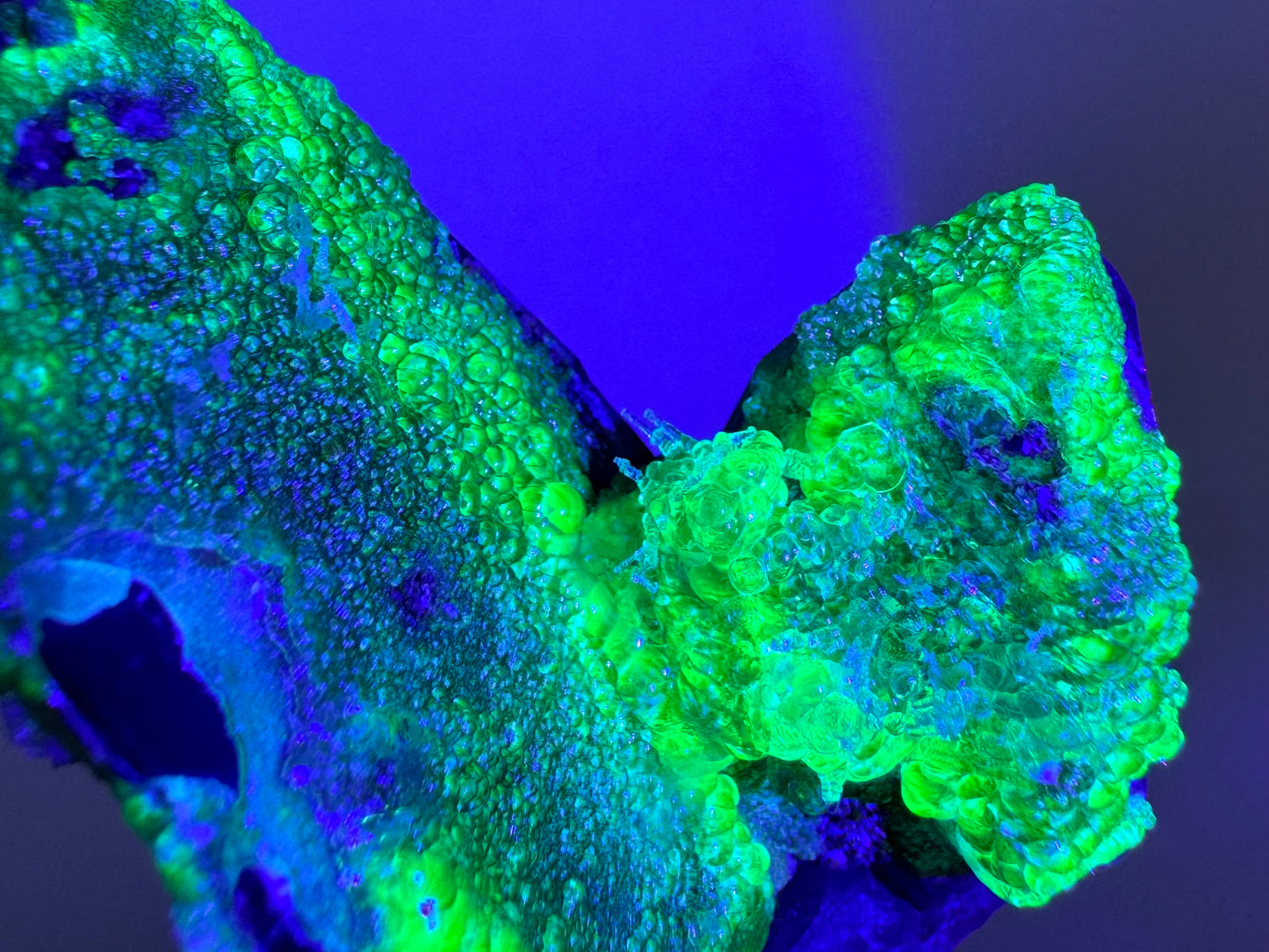 The piece in the same position as the previous image, fluorescing in the dark. The hyalite glows strong yellowish-green with a slight icy-blue overtone especially in the thinner ares of growth. The needles appear light blue.