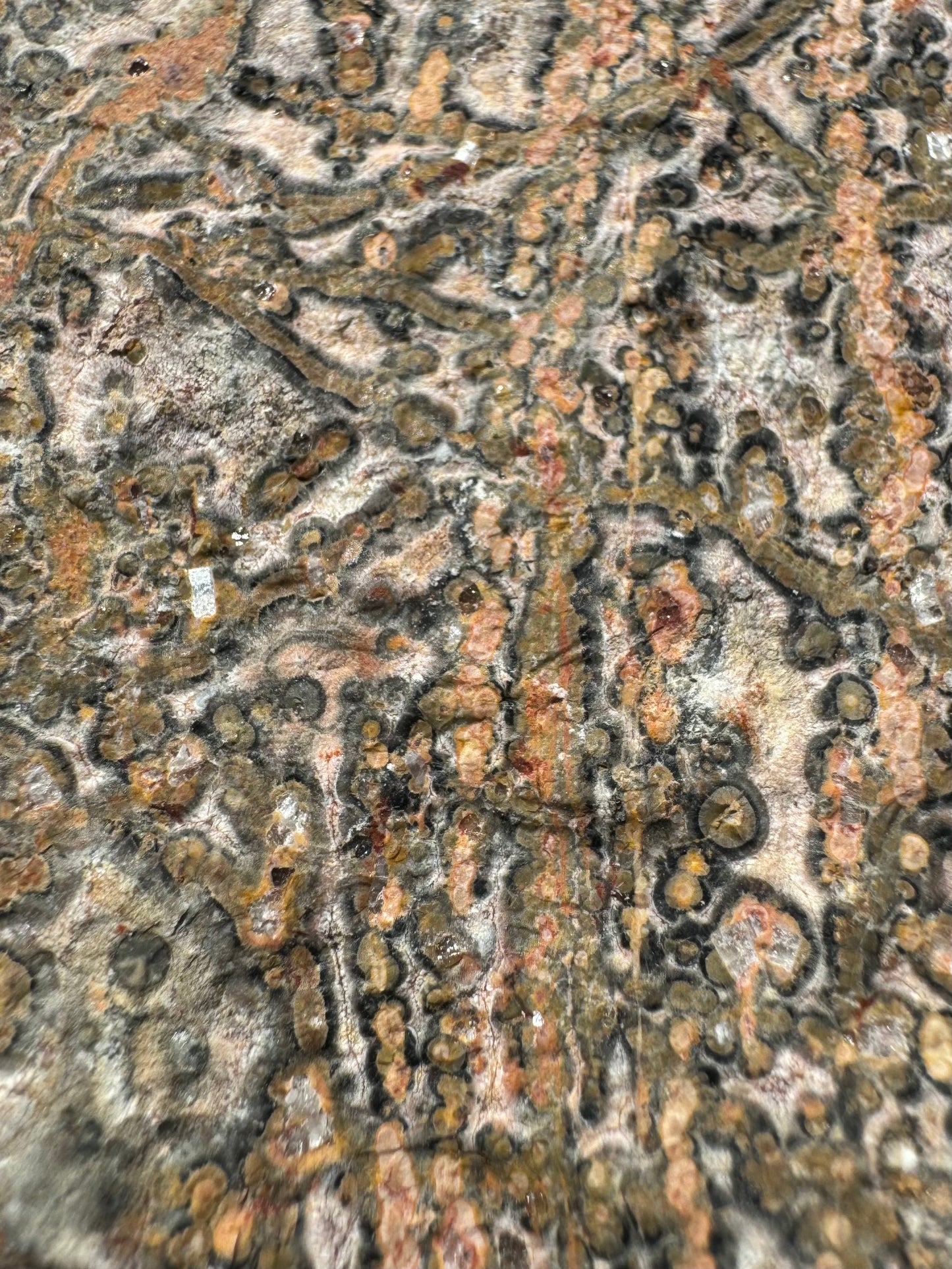 Detail view of the veining and orbicular patterning, showing the concentric radial growth patterns. The rock between the colorful pattern is grainy in texture.