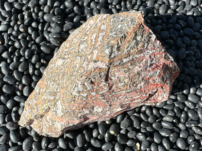 A piece of rough yellow leopardskin jasper with a light tan rock background  covered in colorful veining bordered with a dark gray. The veining color is in a gradient from yellow on one end to red on the other side.