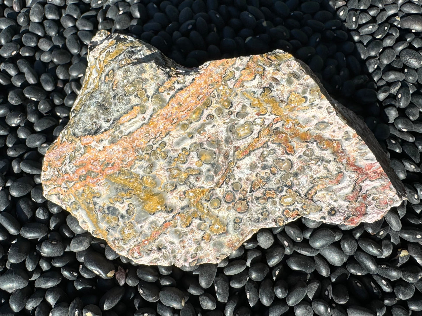 An irregular piece of rough yellow leopardskin jasper with a light tan rock background spotted with orbicular patterns of yellow ringed by a mustard color, and with dark gray border. There are several bold colored veins running diagonally cross the piece, in a gradient of orange to red in contrast to the yellow orbicular pattern.