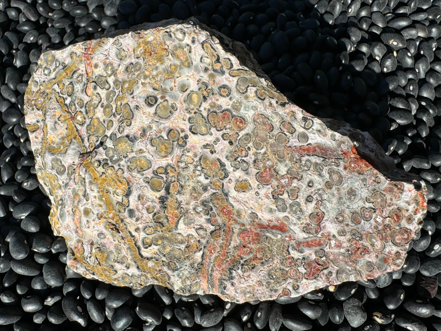 Another side of the piece showing good orbicular pattern with a color gradient from yellow on the left to red on the right. The orbicular pattern on the right has rings of gray, red, white, and dark gray.