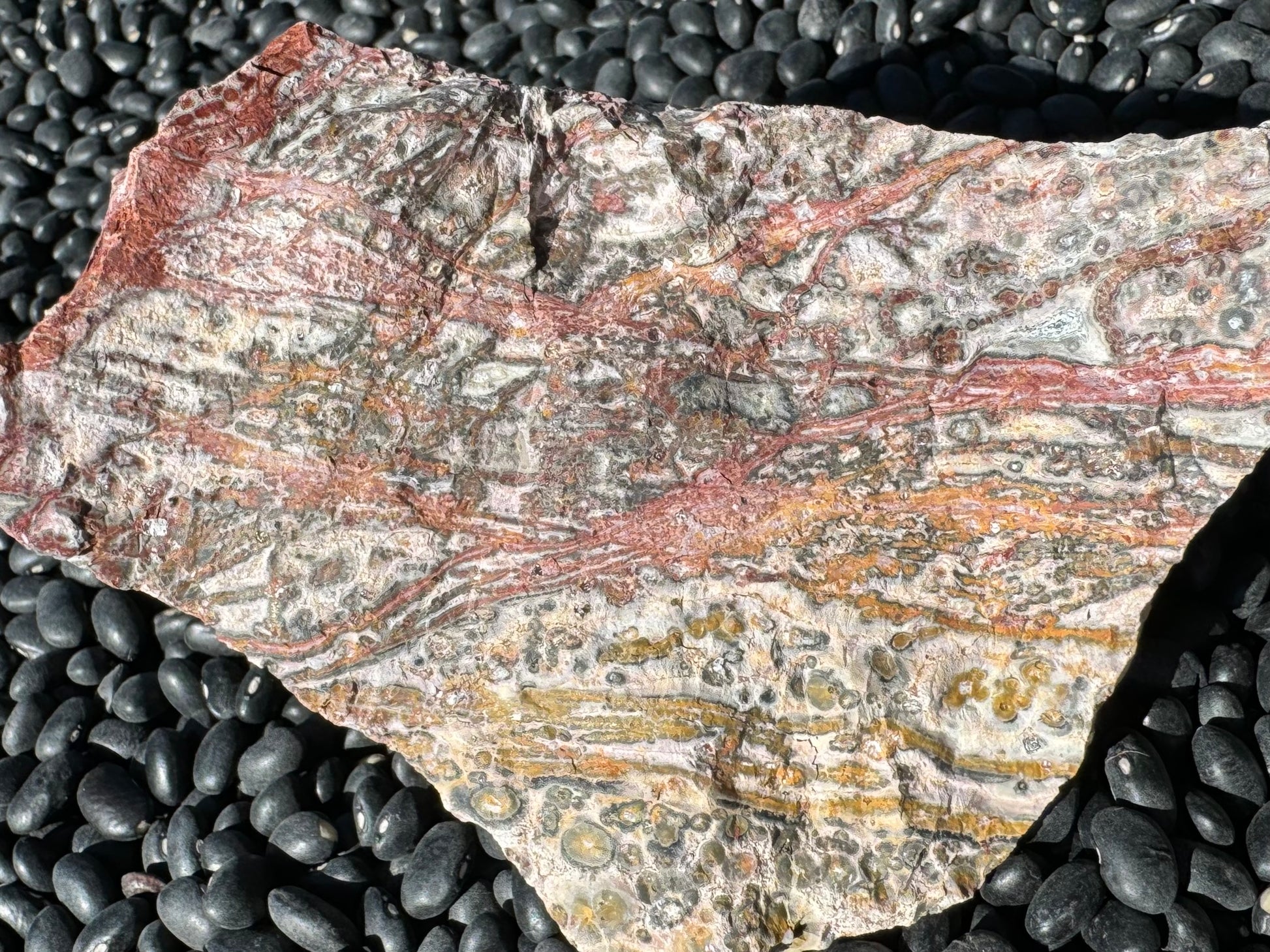 Another side of the piece, with good veining in a red-to yellow gradient, with stripes running horizontally and diagonally. There is white in the center of the veins, creating a streaky paint-like pattern. There are some well-formed orbicules of white, yellow, mustard, and dark gray rings.