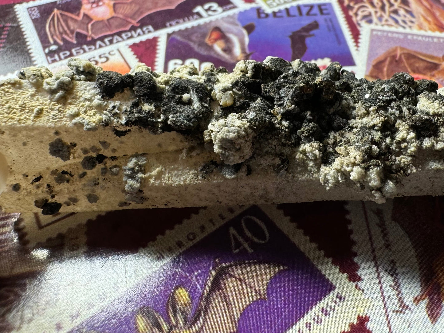 Detail of the black and light mineral aggregate. The black has lumpy rounded form that appears composed of small black blades in places. A small hexagonal crystal face reflects.