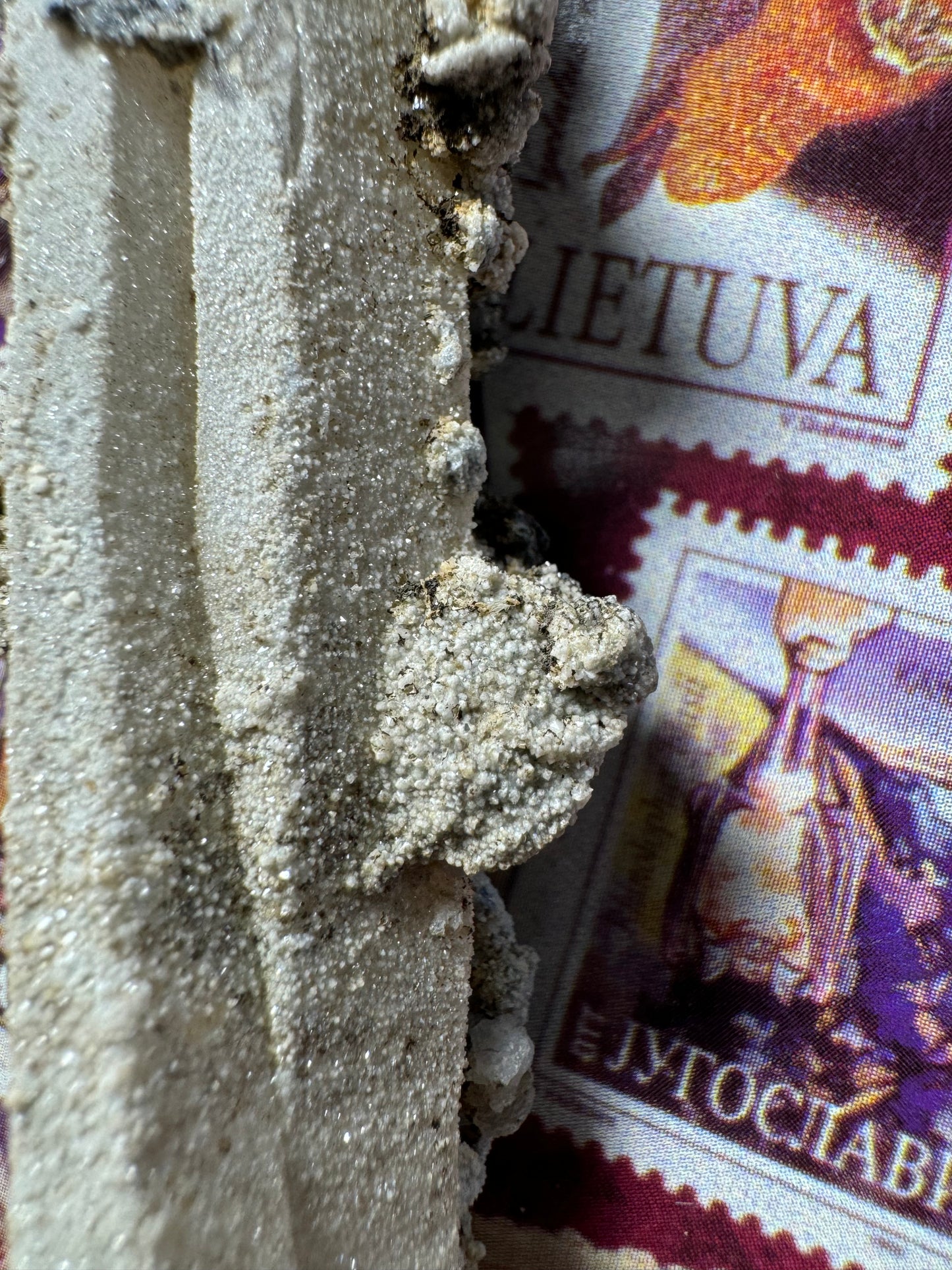 Detail of a mineral formation on the surface, a thin plate-like shape sticking out from the quartz. it is covered in the same fine white bumpy mineral overgrowth.