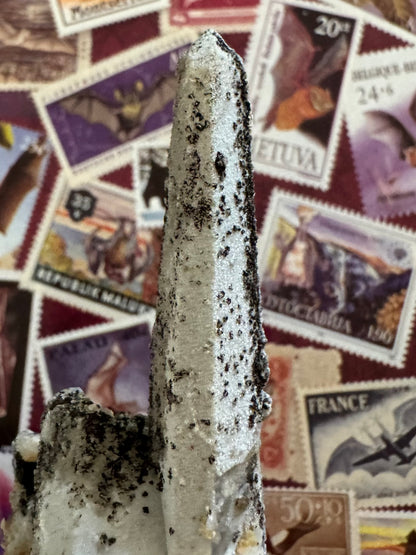 The top half of the main point, which excellent form and a symmetrical tip. The point is covered in a bumpy white crust. There is a bumpy black material covering the right face and sprinkled in a gradient on the white surface.