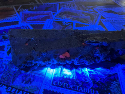 Detail of the piece illuminated in blue-tinted UV light with several small crystals on the surface fluorescing a peachy-red color.