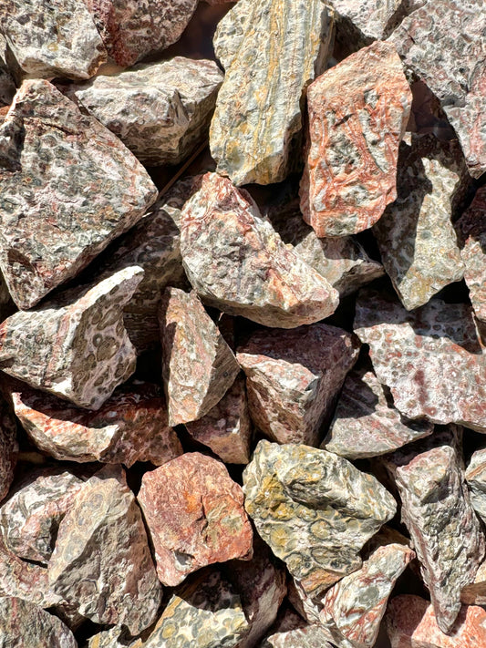 Small irregular chunks of leopardskin jasper rough, largely red in color with some yellow pieces.