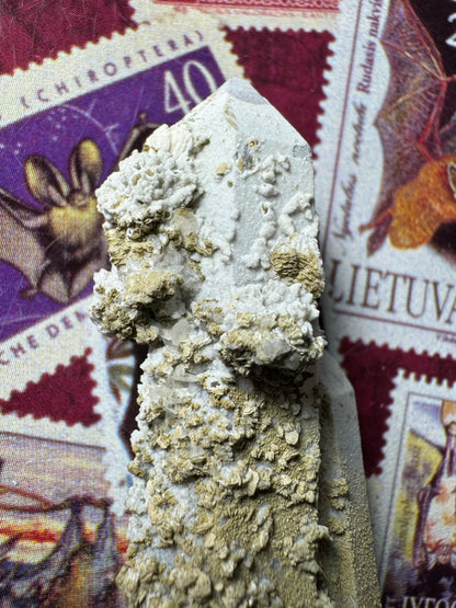 Detail of the mineral growth on one side of the tip, showing thin blade-like growth typical of calcite. It is coated in the light brown mineral.