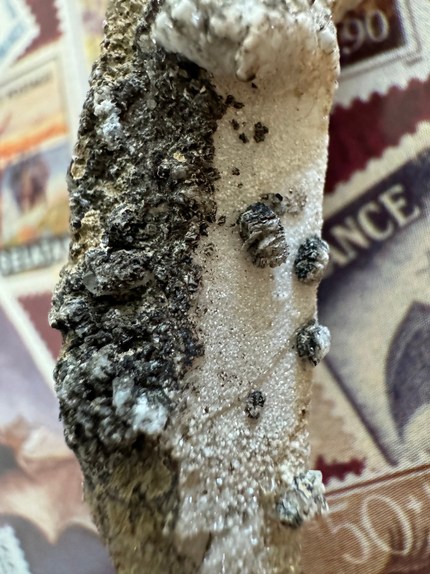 Detail of the side of the piece, on the right a face covered in the glittery white crust. On the left face it is coated in rough black mineral.