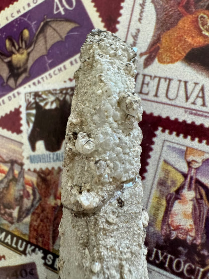 Detail of the tip of the crystal which does not form a point but is rounded and covered in small stubby white quartz tips. There is a crack through the white crust, but the crust is fused to the colorless quartz.