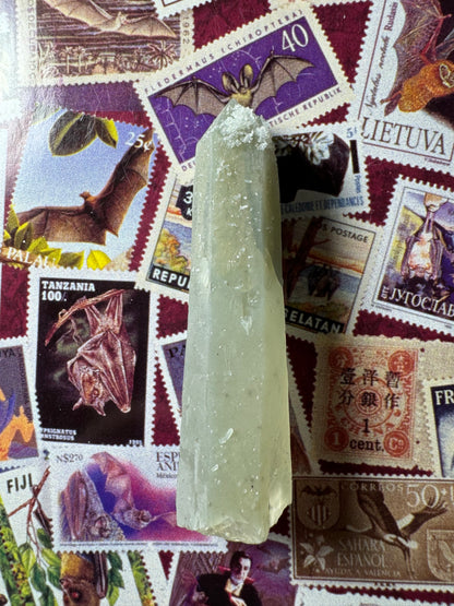 Full view of a long hedenbergite quartz point, well-formed with the base cleanly broken. It has a light greenish-gray color that deepens as the piece becomes more opaque closer to the tip. There is a cluster of white crystals near the tip.