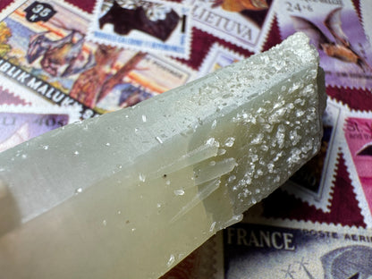 Detail of the top of the piece at an angle showing a reflective sheen on the surface and small white crystals spotting the top, as well as indents where crystals once were. There are good sprouting growth forms on the side.