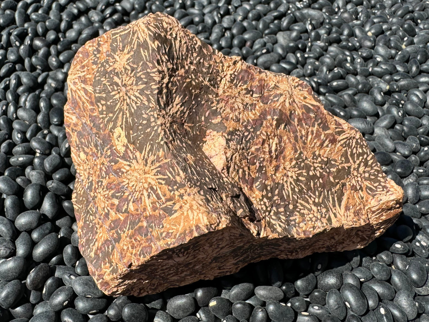 A view of the piece from above, showing two faces with the starburst pattern continuing on dark brown. There is of light brown patch in the center.