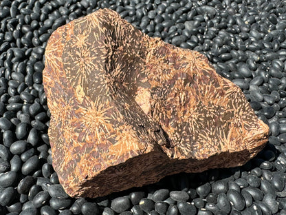 A view of the piece from above, showing two faces with the starburst pattern continuing on dark brown. There is of light brown patch in the center.