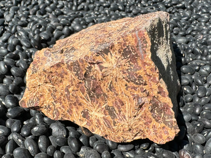 A triangular side of the piece with several large spherulites showing their three-dimensional radial surface pattern. They are on an attractive background of streaky dark brown, red-brown, and yellow-brown.