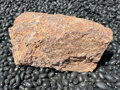 The pattern is less visible on the backside of the piece, which looks milky and is partially covered in a brown surface. Some of the starbust patterns are indented as if eroded away.