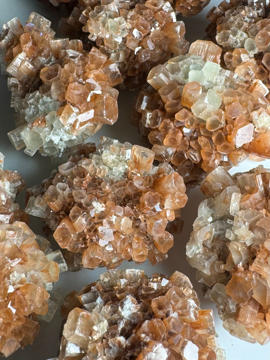 A bunch of small bicolor sputnik aragonites spread out on a white background