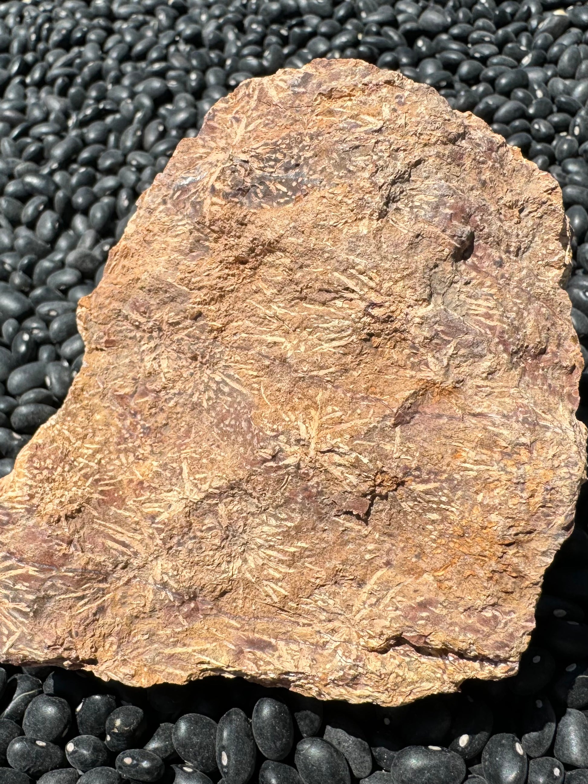 The back side of the piece, the pattern is barely visible through a dull brown layer. The starburst patterns are inverted as if eroded.