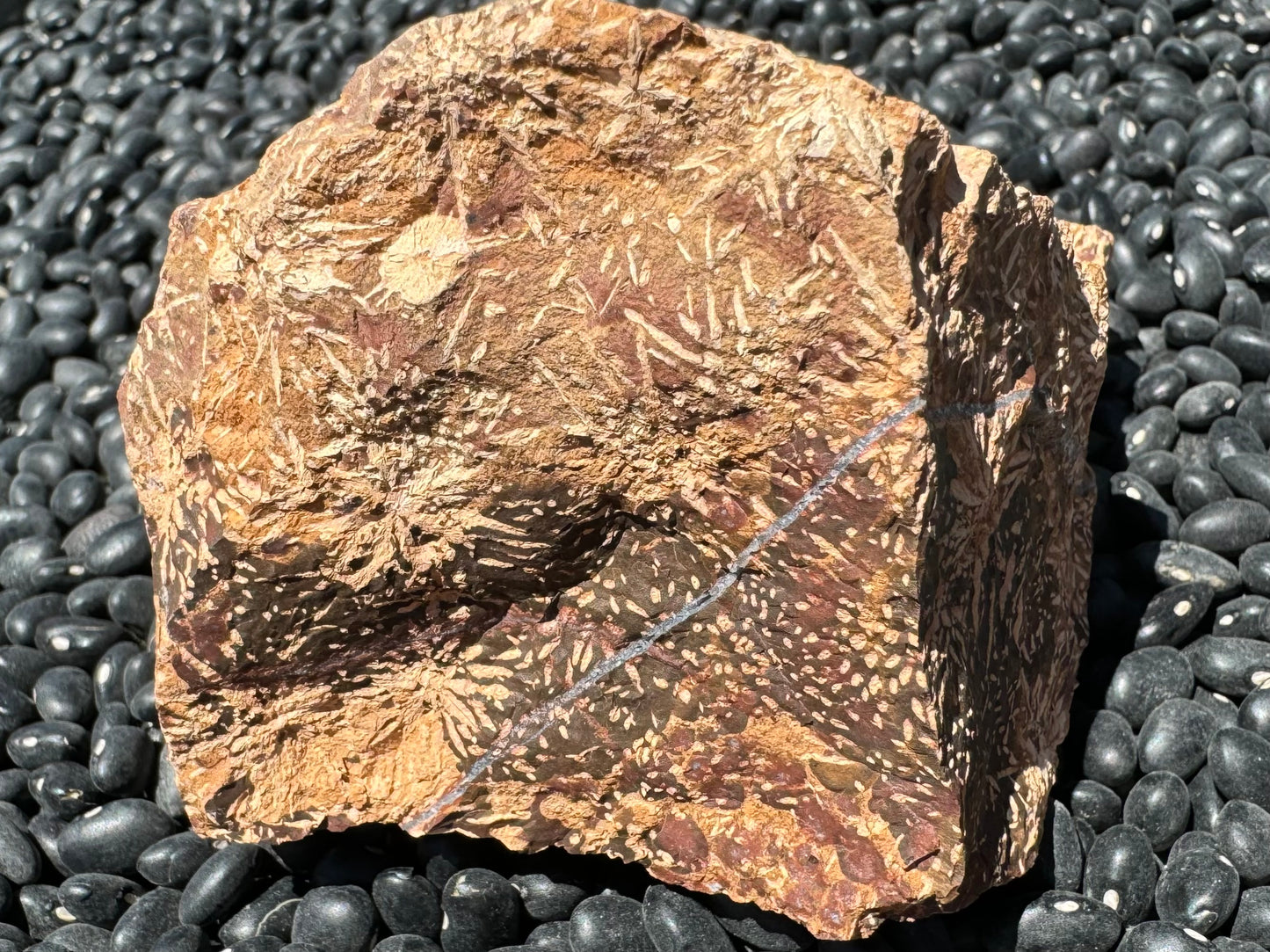 Another flat side of the piece, showing inverted starbursts, a quartz vein, and colorful pattern. There is a round spot the same color as the starbursts.