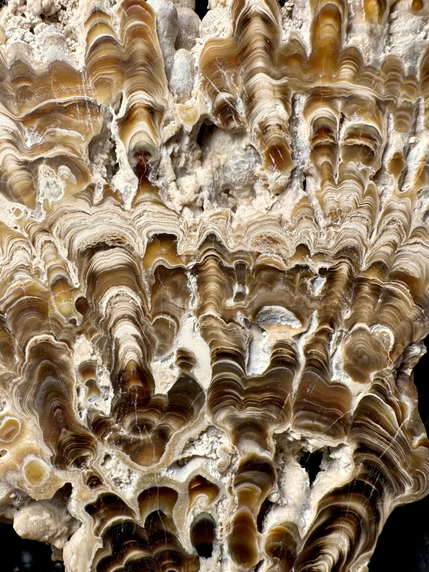 Aragonite cave formation, polished slice (large)