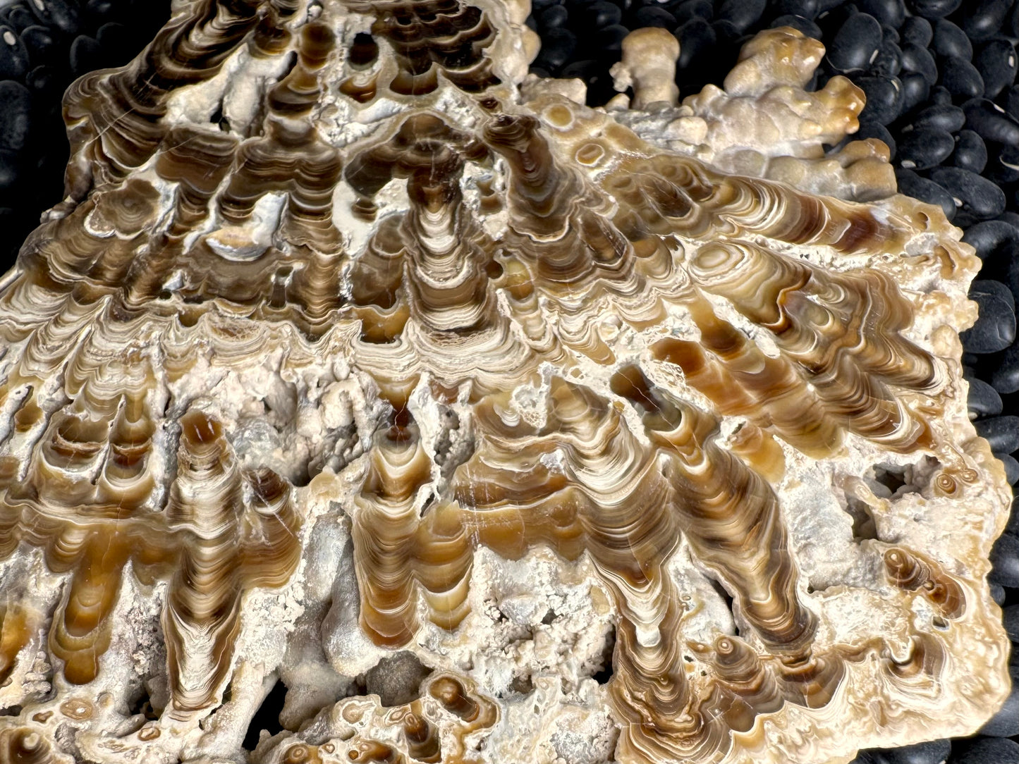 Aragonite cave formation, polished slice (large)
