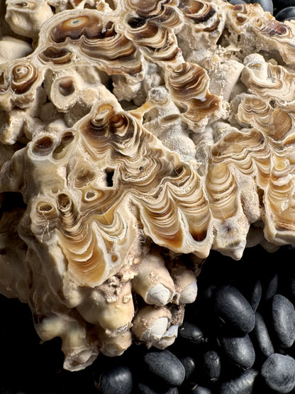 Aragonite cave formation, polished slice (large)