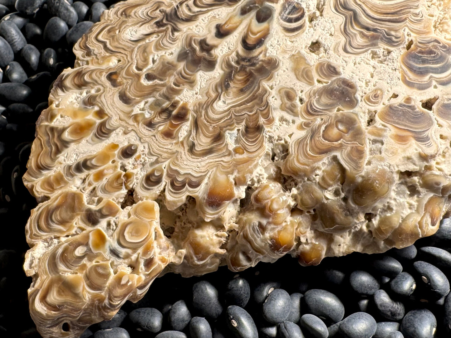 Aragonite cave formation, polished slice (large)