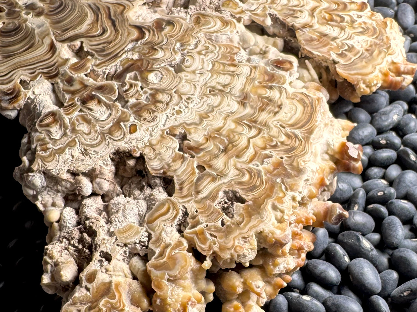 Aragonite cave formation, polished slice (large)