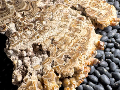 Aragonite cave formation, polished slice (large)