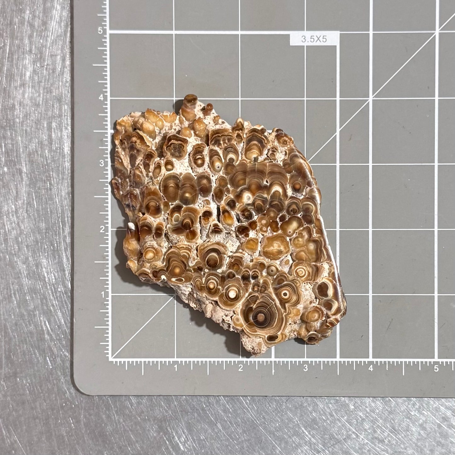 Aragonite cave formation, polished slice (large)