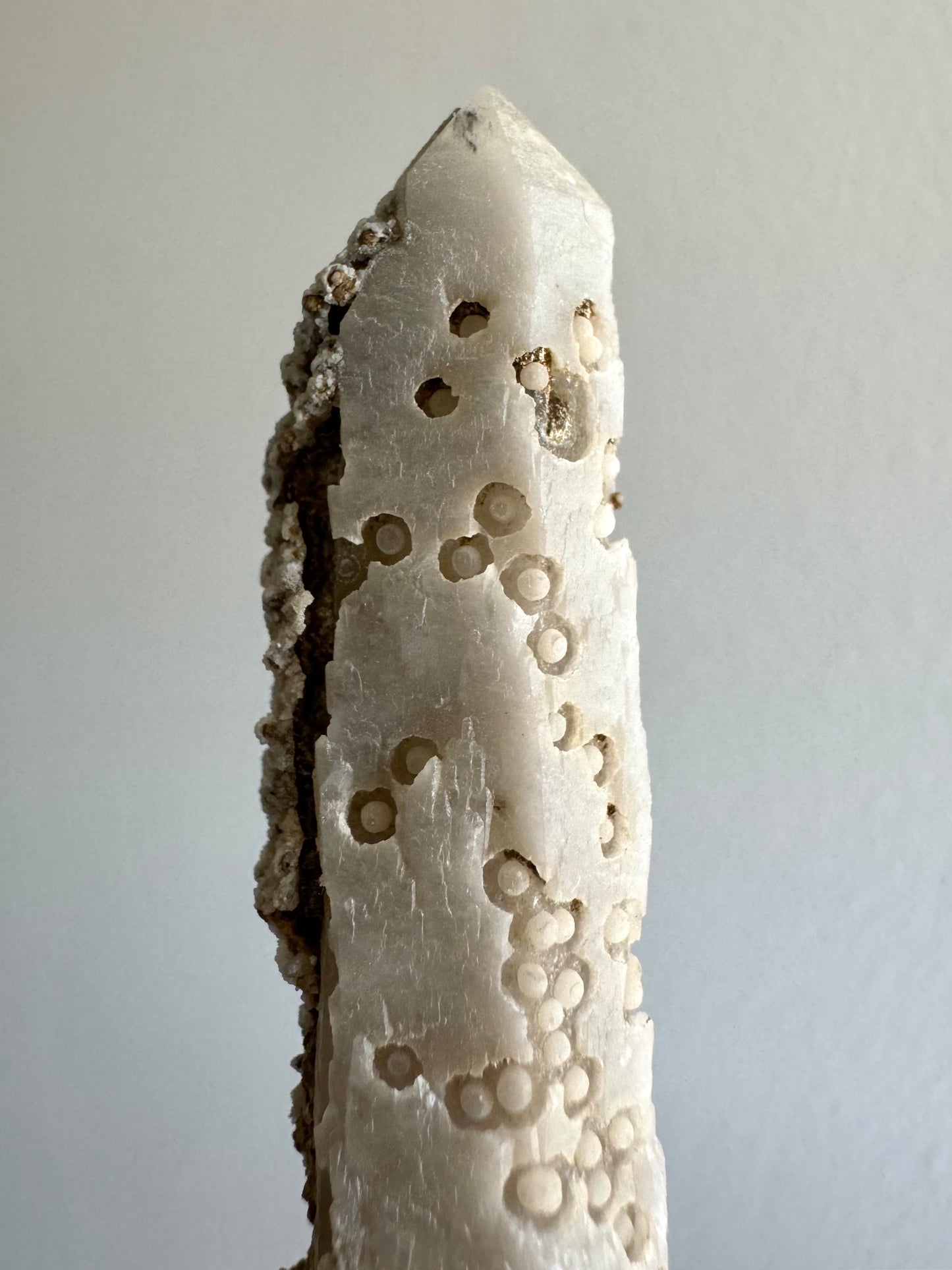 Detail of option D, a semi-opaque white quartz point with tentacle-like pattern on the surface.