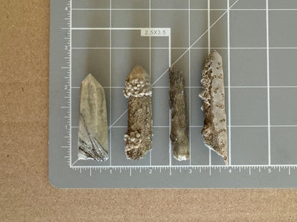 Scale image of the four points lined up on a measuring mat. Point A is about two inches long. Point B is two and a quarter inches long. Point C is about two inches long. Point D is two and a half inches long.