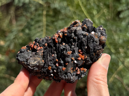 View of the opposite side of the mineral, covered with more velvety black rounded spires. Sections are covered with bulbous forms of the more shiny mineral. Vanadinite covers patches of the side.