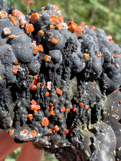 Detail of the well-formed darker black spires which have botryoidal surfaces and are a bit shiny. At the top the turn craggy and blend into the larger matte botryoidal growth on top. The vanadinite crystals covering the spires are a bit smaller than those on top, but are a deeper red color. 