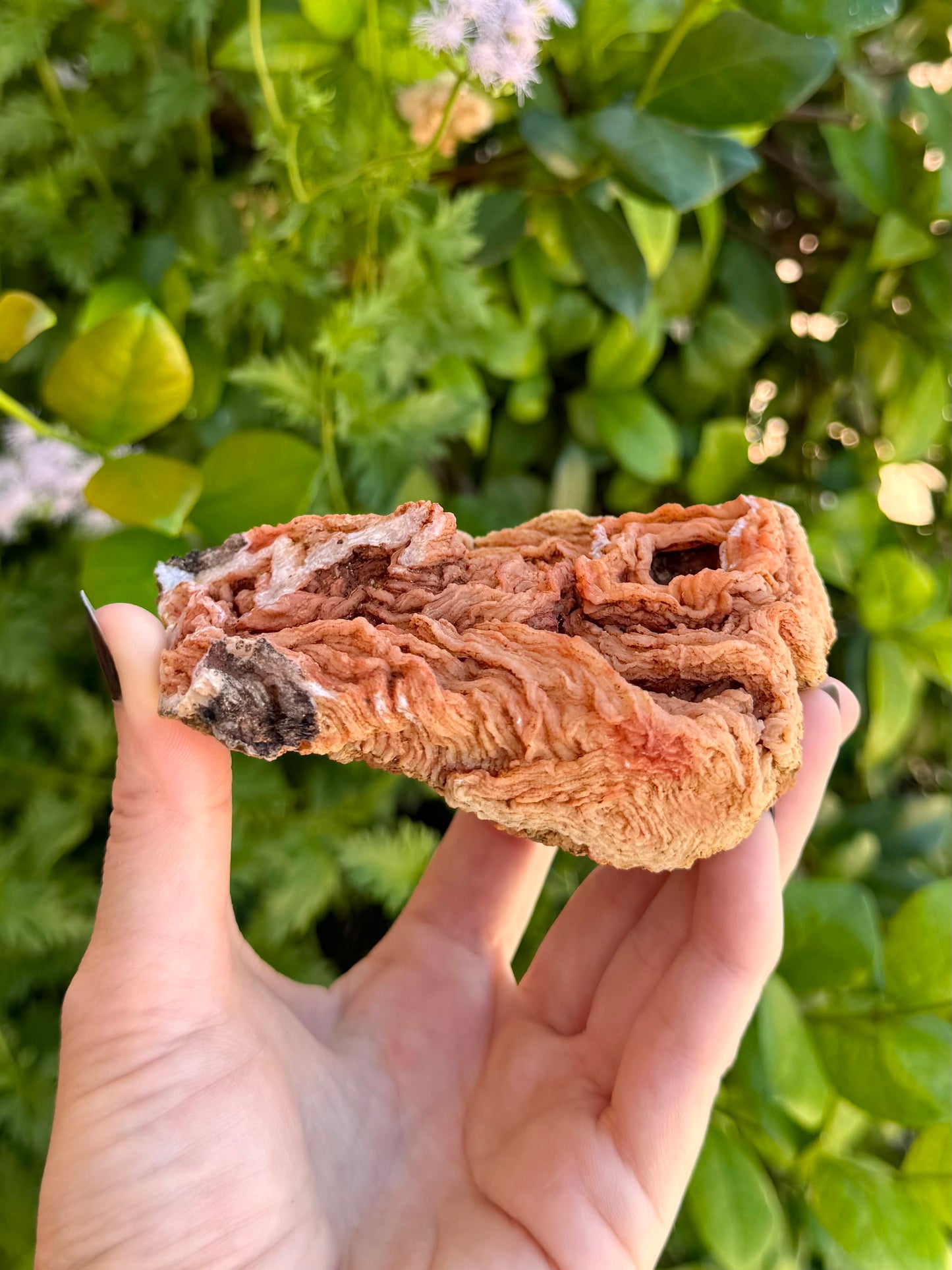 Side view of mineral showing the ropy wrinkles folded over like noodles in a block of ramen