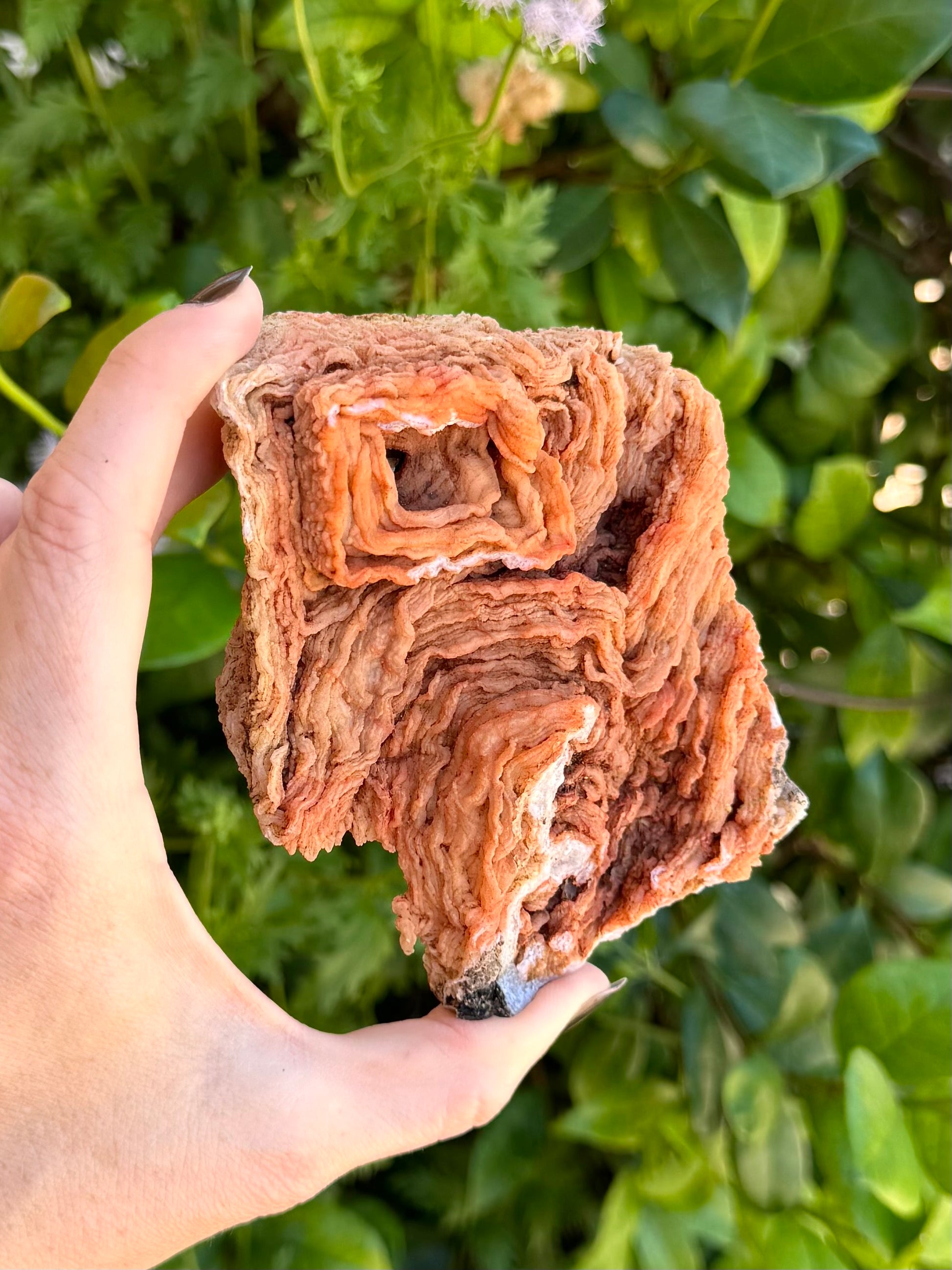 A flat rectangular chalcedony specimen with textured surface in indirect sunlight. The surface is like a lot of layers of wrinkles composed in a square shape on one end.