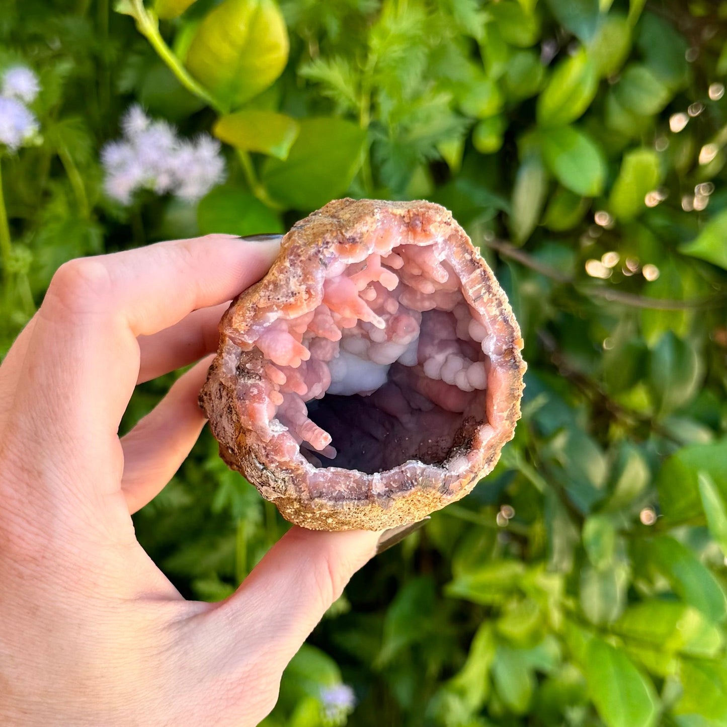 The geode at another angle, showing the roof is coated with a fine dark mineral. The white spheres are highlighted in the shadows.