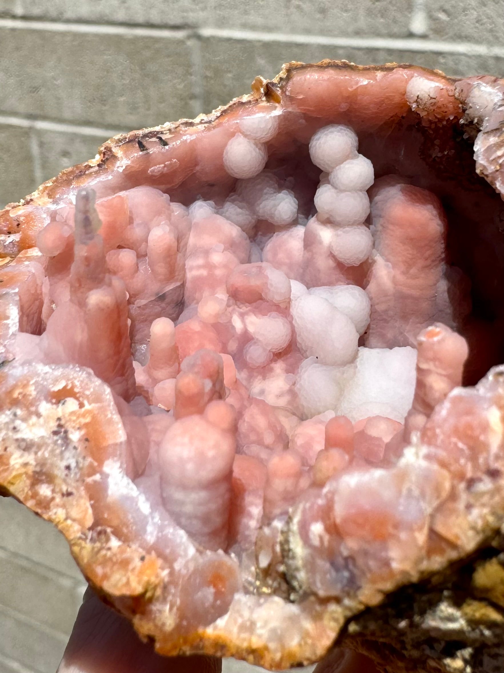 Detail of the white spherical grow inside the geode, clusters of textured white spheres through light orange spired and bumpy growth.