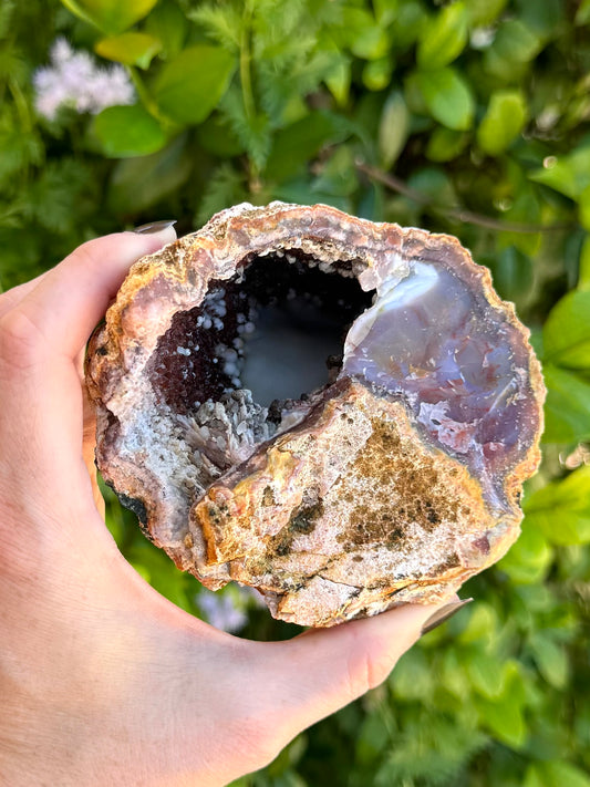 A chalcedony geode with a thick crust in indirect sunlight. Half if it is open to a deep geode, while the other half is solid. The solid side is half covered with matrix, and half solid exposed chalcedony.