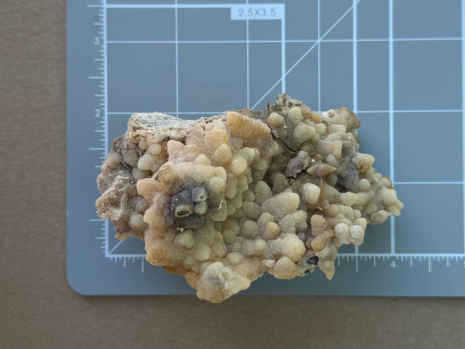 Scale image of the mineral on a measuring mat, measuring about three and a half inches long and two inches wide.