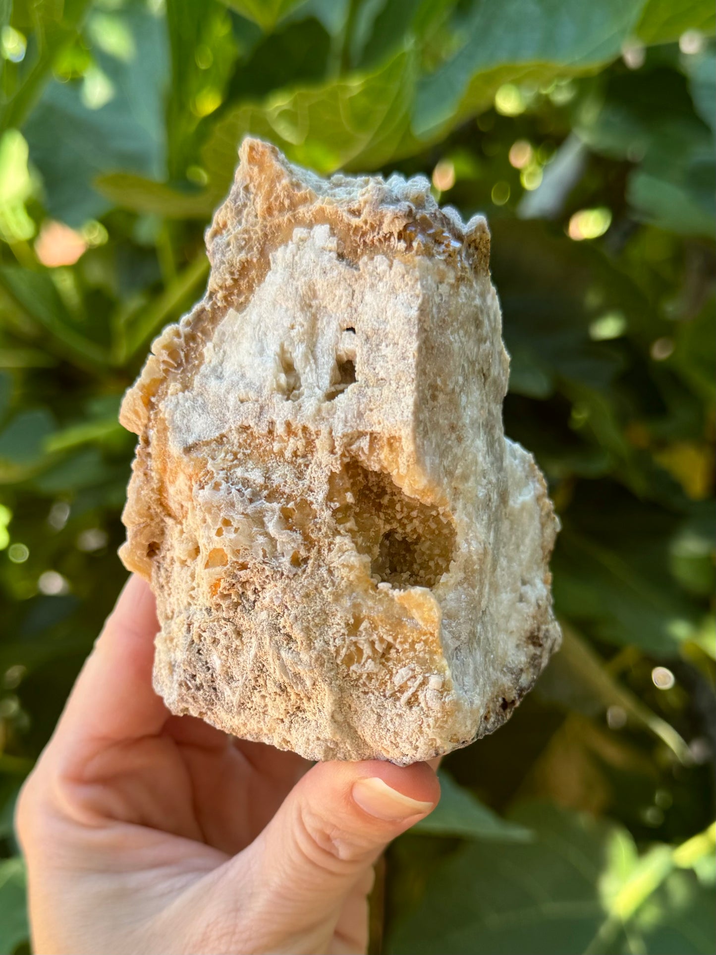 Angled view of the back and bottom of the specimen, both a rough crusty surface. There is a pocket on the junction between faces, with small crystals visible inside.