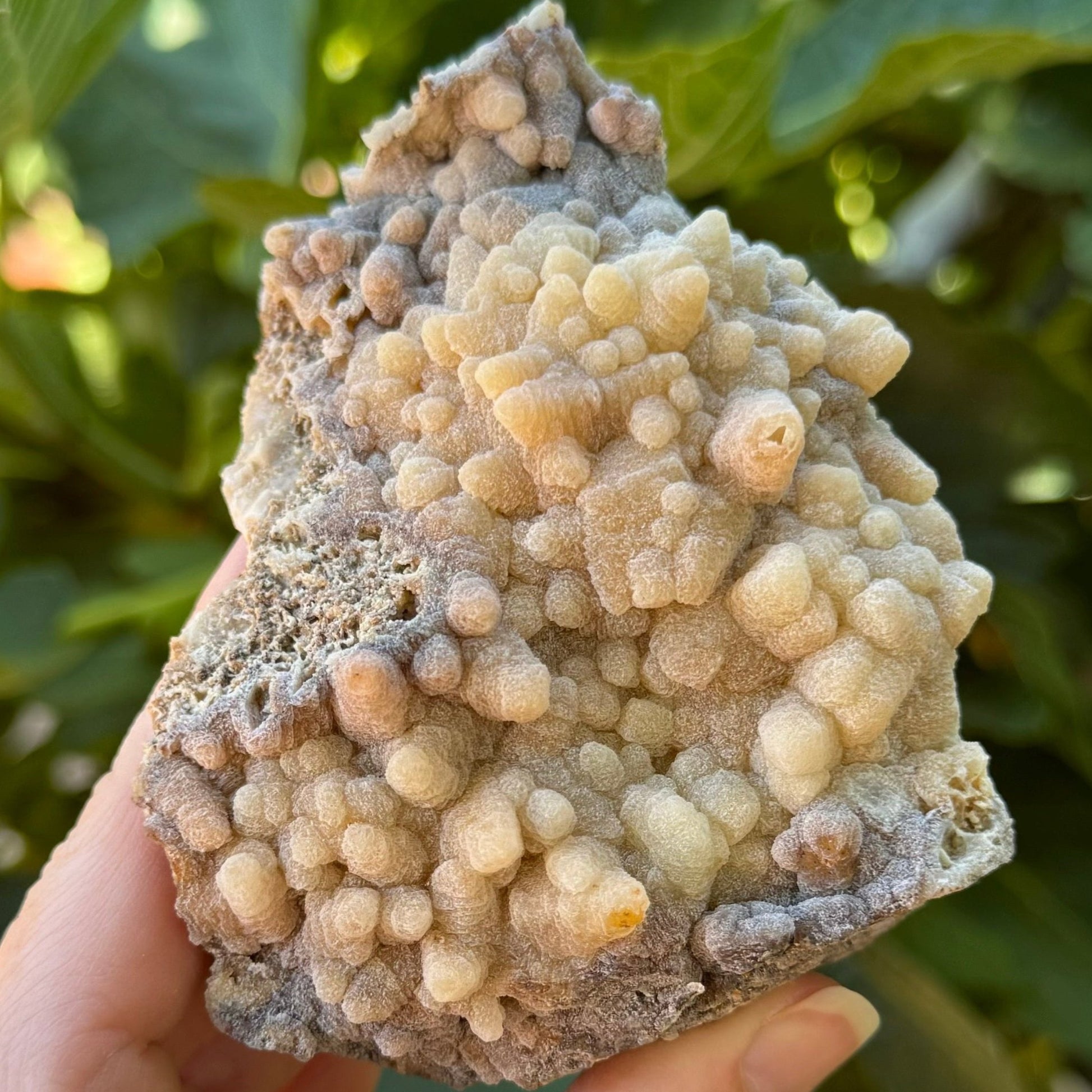 Closer view of the points on the piece, shaped like typical calcite points but with a textured layered mineral overgrowth layer. The tip of one large point is open, showing it is hollow inside.