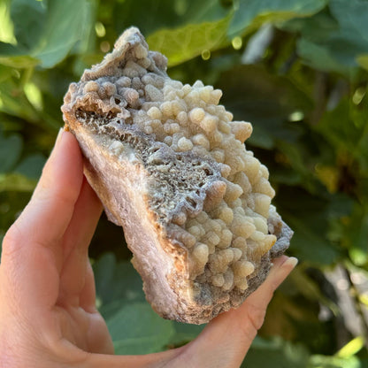 A side-view of the specimen, showing the layer of points has a crust-like edge with hollow and irregular honeycomb-like growth underneath